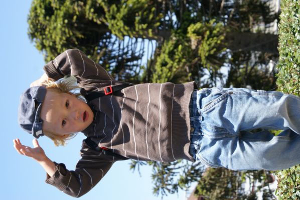 Cliquer pour voir l'image en taille réelle