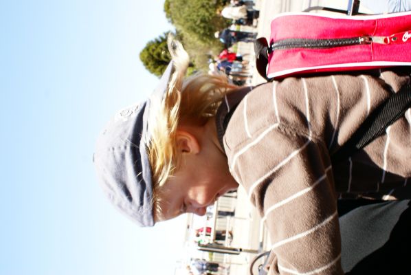 Cliquer pour voir l'image en taille réelle