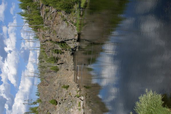 Cliquer pour voir l'image en taille réelle