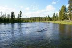 107_1071.JPG