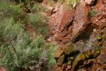 104_1907.JPG