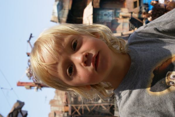 Cliquer pour voir l'image en taille réelle