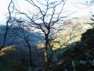 20141102_153803.jpg