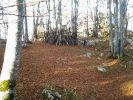 20141102_154445.jpg