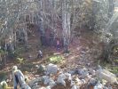 20141102_154638.jpg