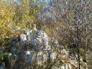 20141102_155200.jpg