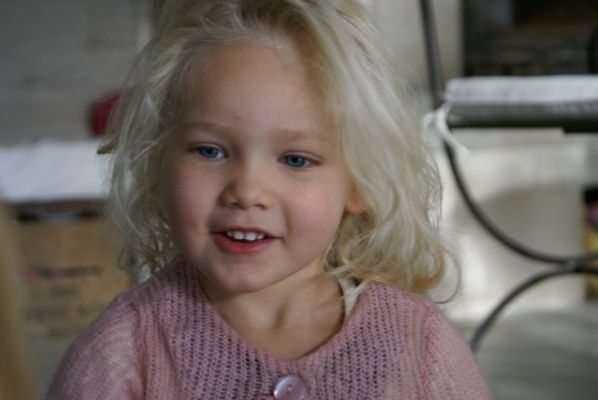 Cliquer pour voir l'image en taille réelle
