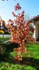 102_0258_Raph.jpg