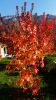 102_0259_Raph.jpg