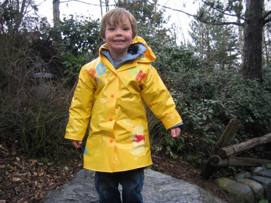 Cliquer pour voir l'image en taille réelle