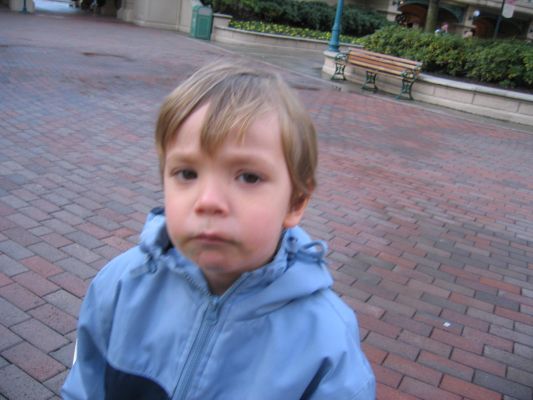 Cliquer pour voir l'image en taille réelle