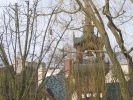 IMG_3878.JPG