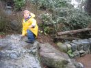 IMG_4016.JPG