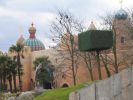 IMG_4231.JPG