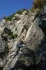 100_9051.JPG
