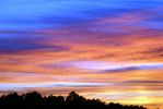100_9870.JPG