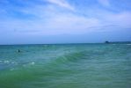 100_9898.JPG