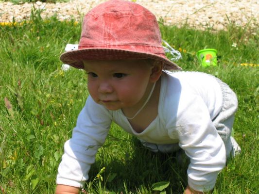 Cliquer pour voir l'image en taille réelle