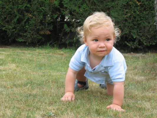 Cliquer pour voir l'image en taille réelle