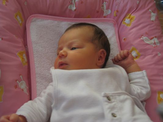Cliquer pour voir l'image en taille réelle