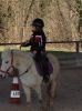Aux_cheval1.JPG