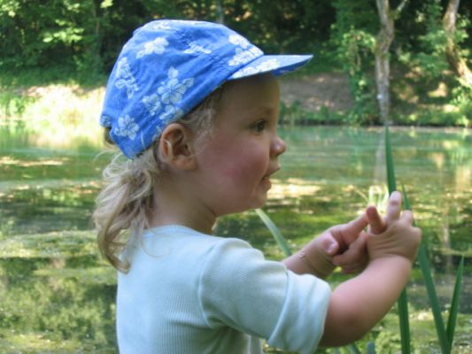 Cliquer pour voir l'image en taille réelle