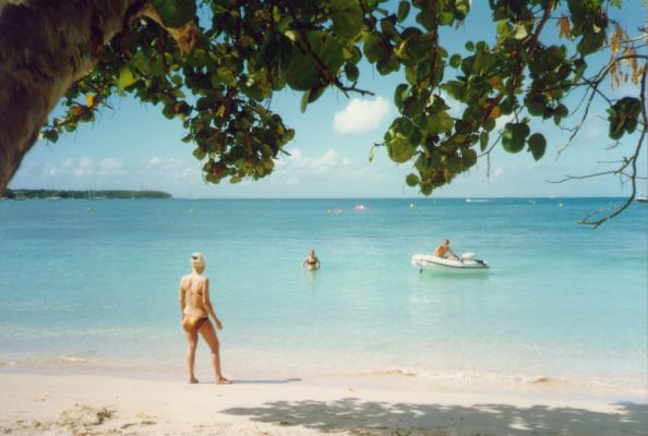 Cliquer pour voir l'image en taille réelle
