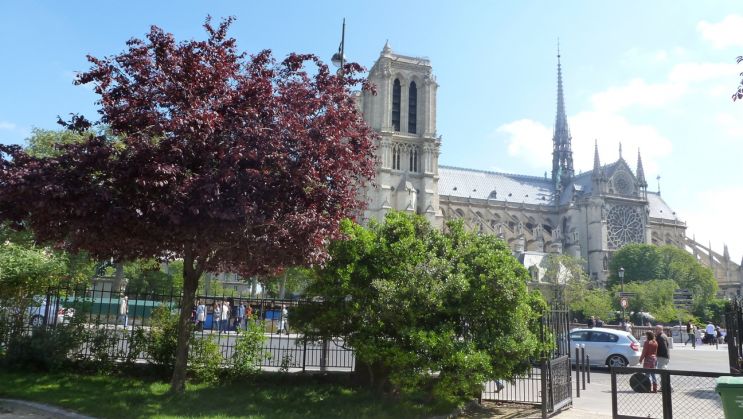 Cliquer pour voir l'image en taille réelle