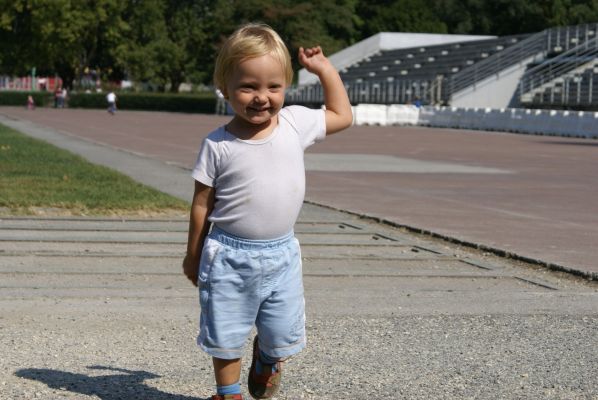 Cliquer pour voir l'image en taille réelle