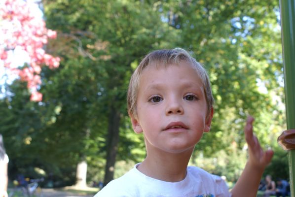 Cliquer pour voir l'image en taille réelle