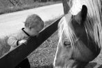 100_3647.JPG