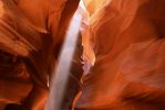 100_5695.JPG