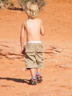 Cliquer pour voir l'image en taille réelle