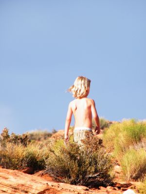 Cliquer pour voir l'image en taille réelle