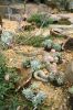 100_6708.JPG