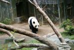100_6803.JPG