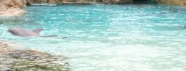 100_6857.JPG
