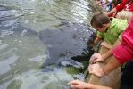 100_6890.JPG