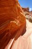 100_6049.JPG