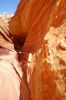 100_6070.JPG