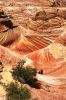 100_6155.JPG