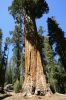 100_2079.JPG