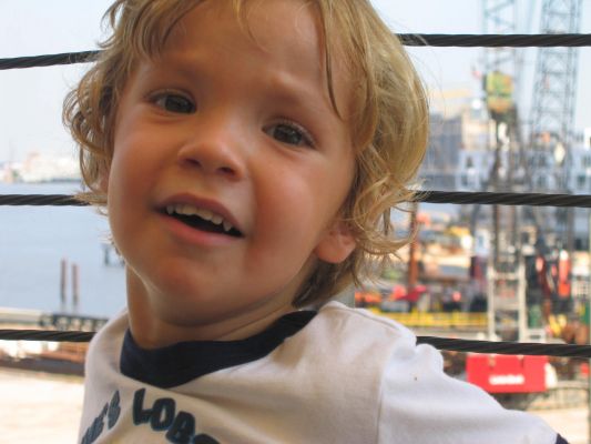 Cliquer pour voir l'image en taille réelle