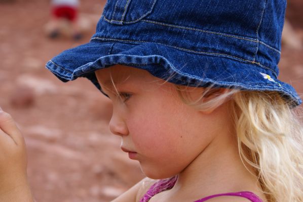 Cliquer pour voir l'image en taille réelle
