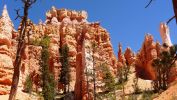 100_0417.JPG