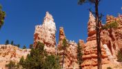100_0419.JPG