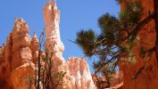 100_0420.JPG