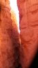 100_0830.jpg