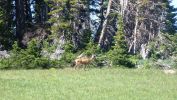 100_0513.JPG
