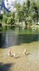 100_0653.JPG